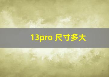 13pro 尺寸多大